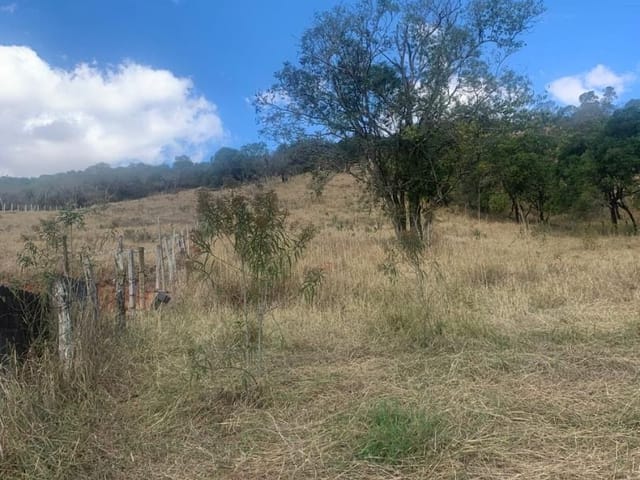 Terreno com 5000m², à venda, no bairro Portão em Cambuí