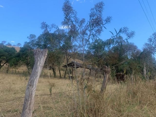 Terreno com 5000m², à venda, no bairro Portão em Cambuí