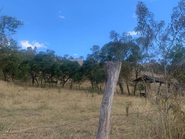 Terreno com 5000m², à venda, no bairro Portão em Cambuí
