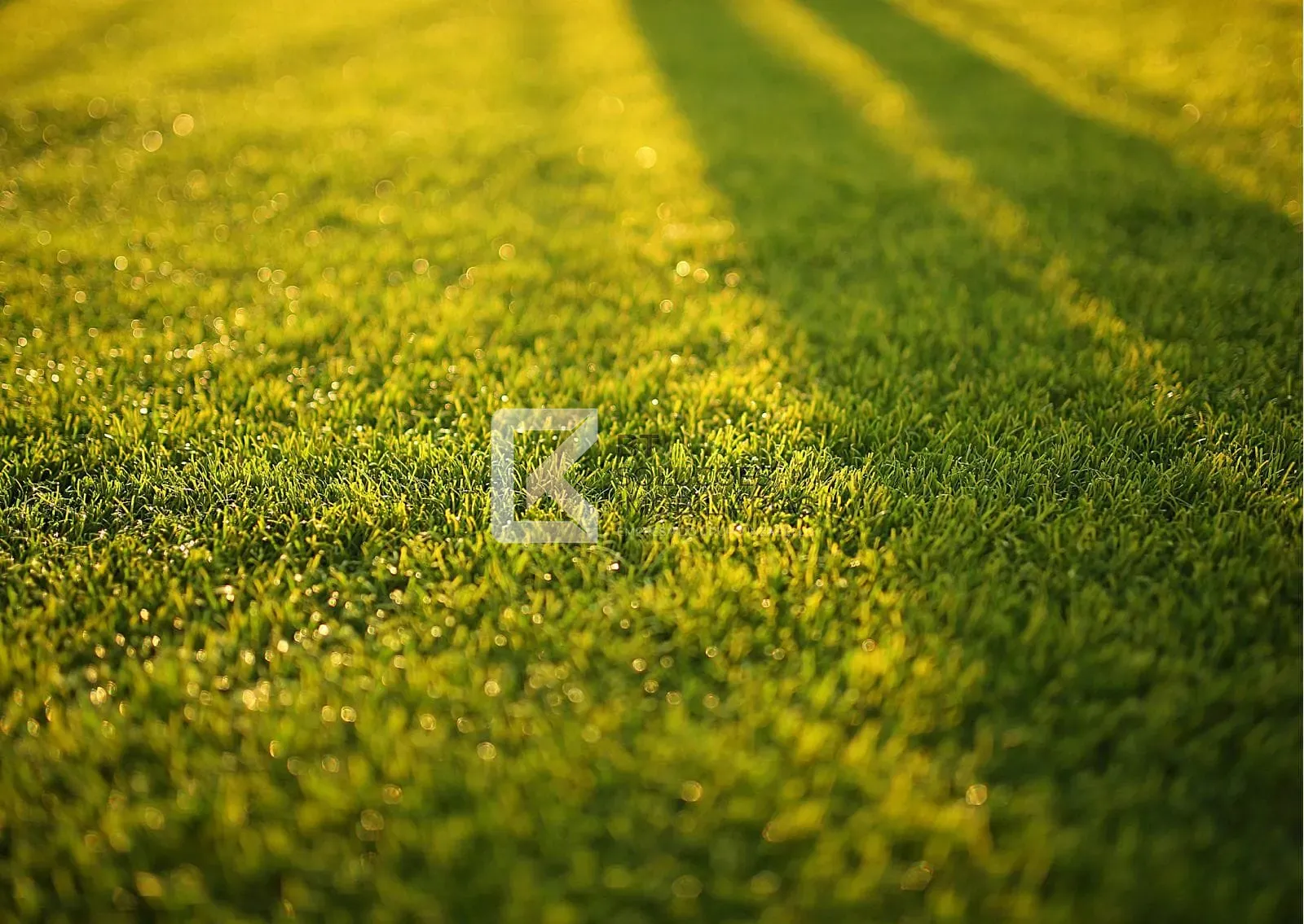 Terreno, 150 m² - Foto 1