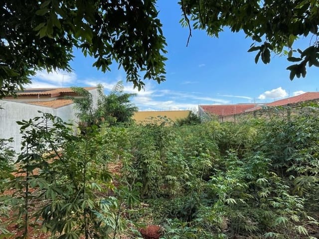Terreno com 390m², à venda, no bairro Residencial Furlan em Santa Bárbara D'Oeste