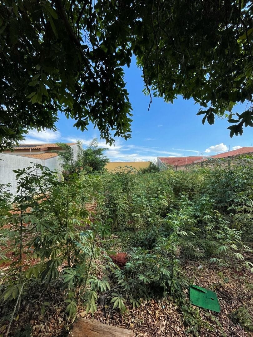 Terreno, 390 m² - Foto 5