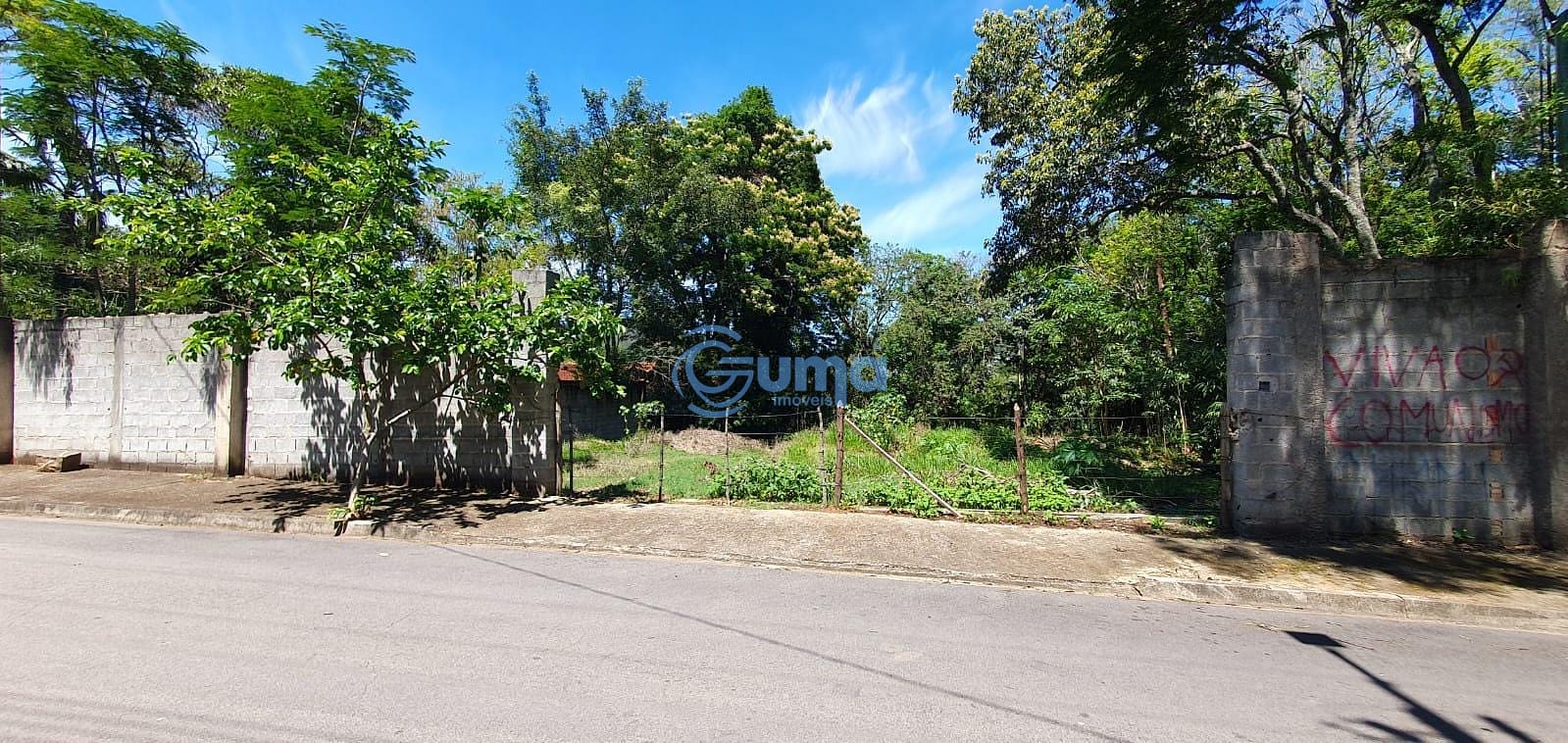 Terreno, 2000 m² - Foto 5