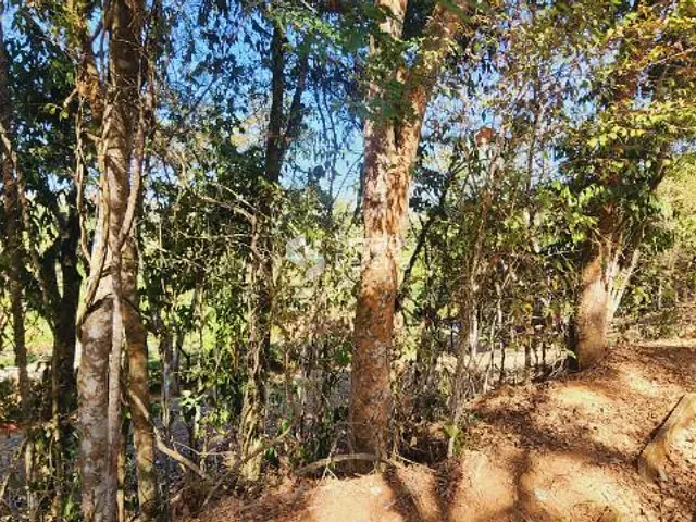 Terreno com 1607m², à venda, no bairro Balança em Simão Pereira