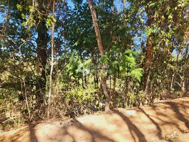 Terreno com 1607m², à venda, no bairro Balança em Simão Pereira
