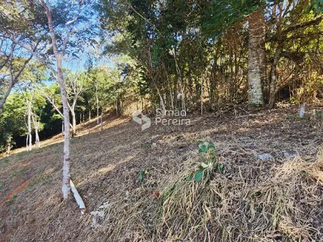 Terreno com 1607m², à venda, no bairro Balança em Simão Pereira
