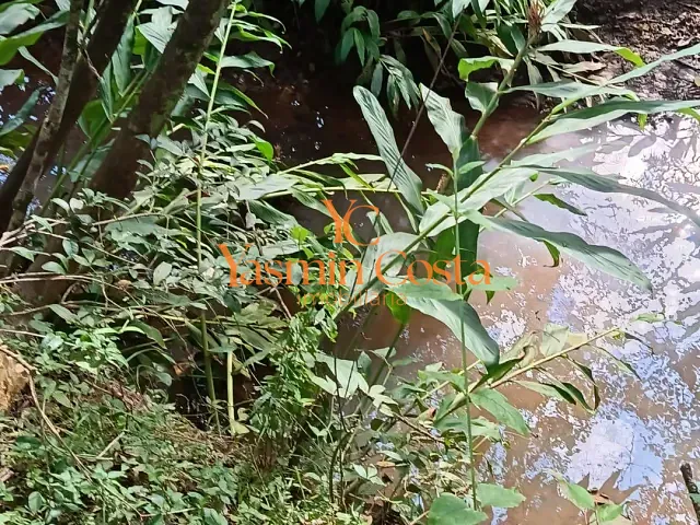 Terreno com 650m², à venda, no bairro Vazes em Cambuí