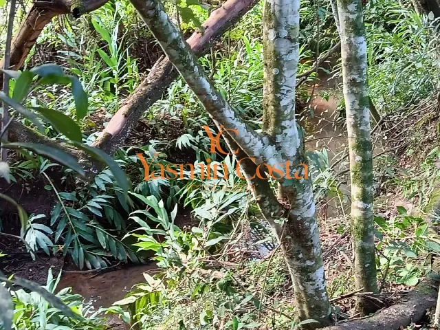 Terreno com 650m², à venda, no bairro Vazes em Cambuí