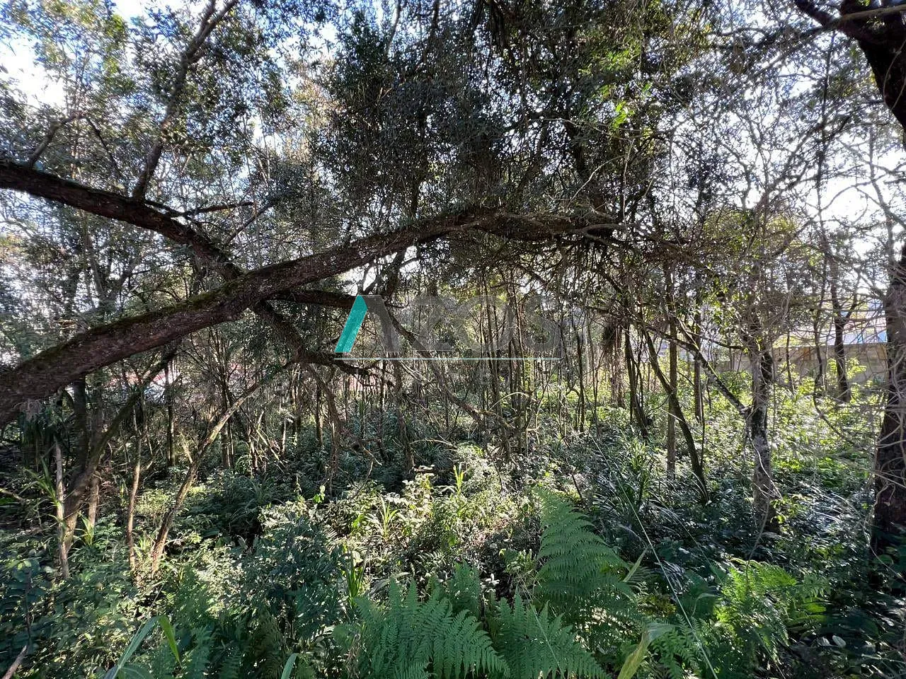 Terreno, 1000 m² - Foto 12