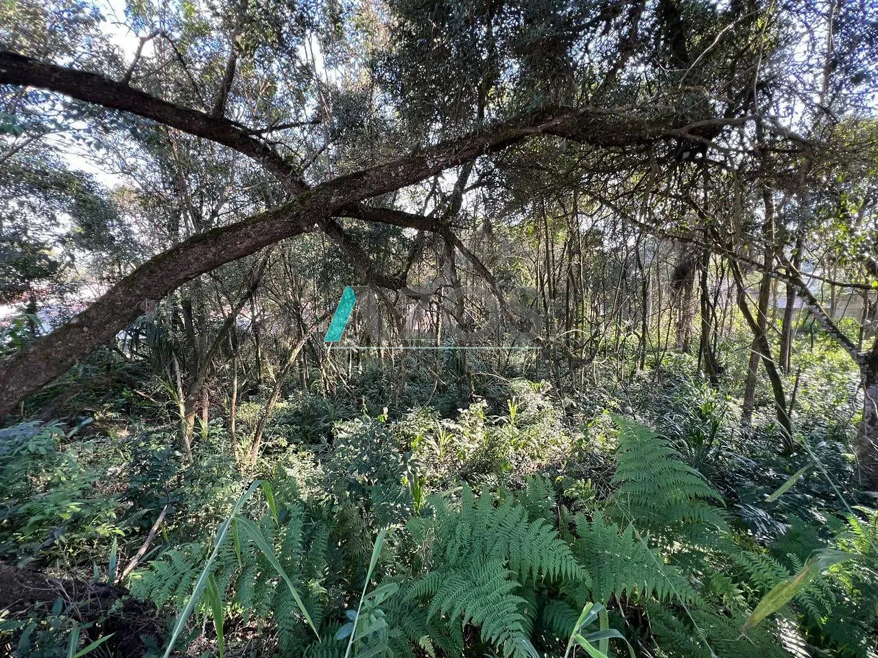Terreno, 1000 m² - Foto 13