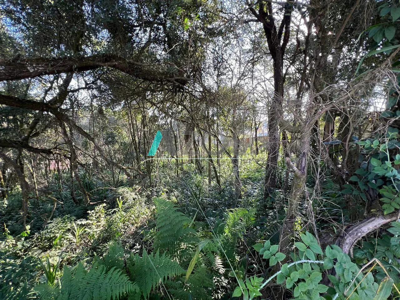 Terreno, 1000 m² - Foto 14