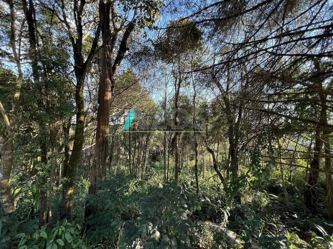 Terreno, 1000 m² - Foto 15