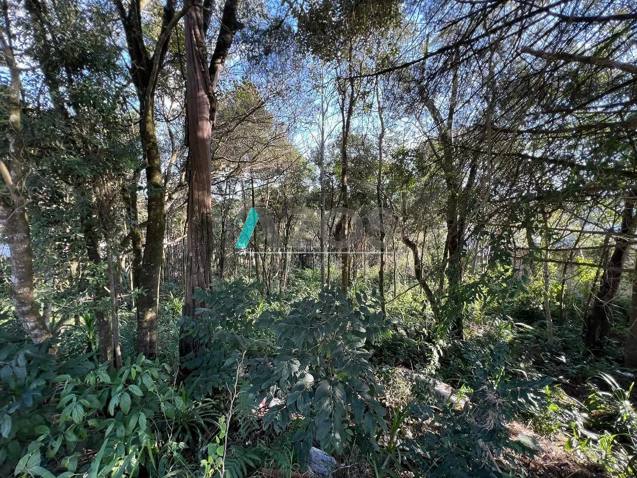 Terreno, 1000 m² - Foto 16