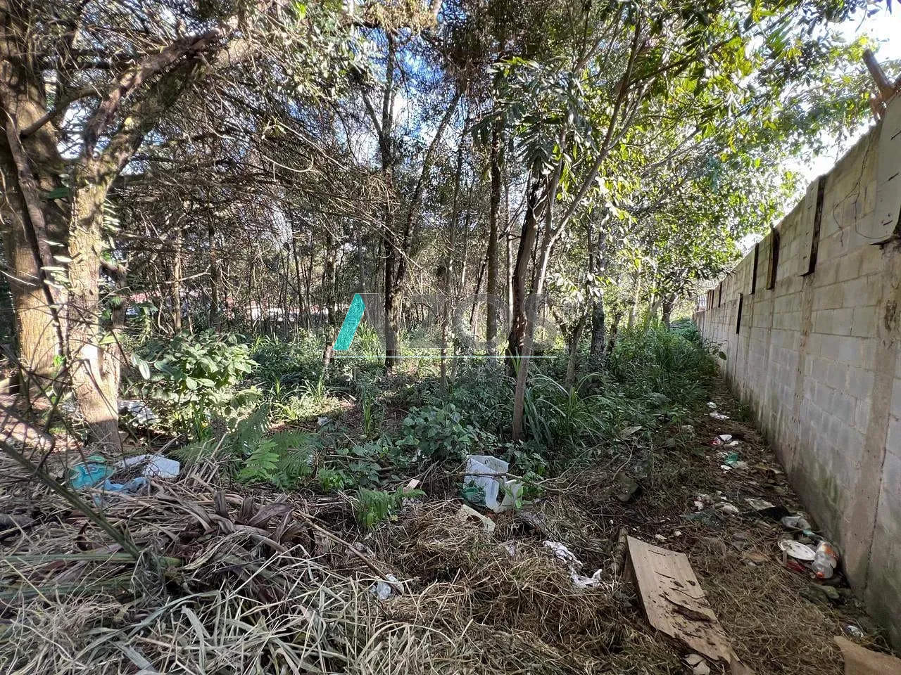 Terreno, 1000 m² - Foto 10