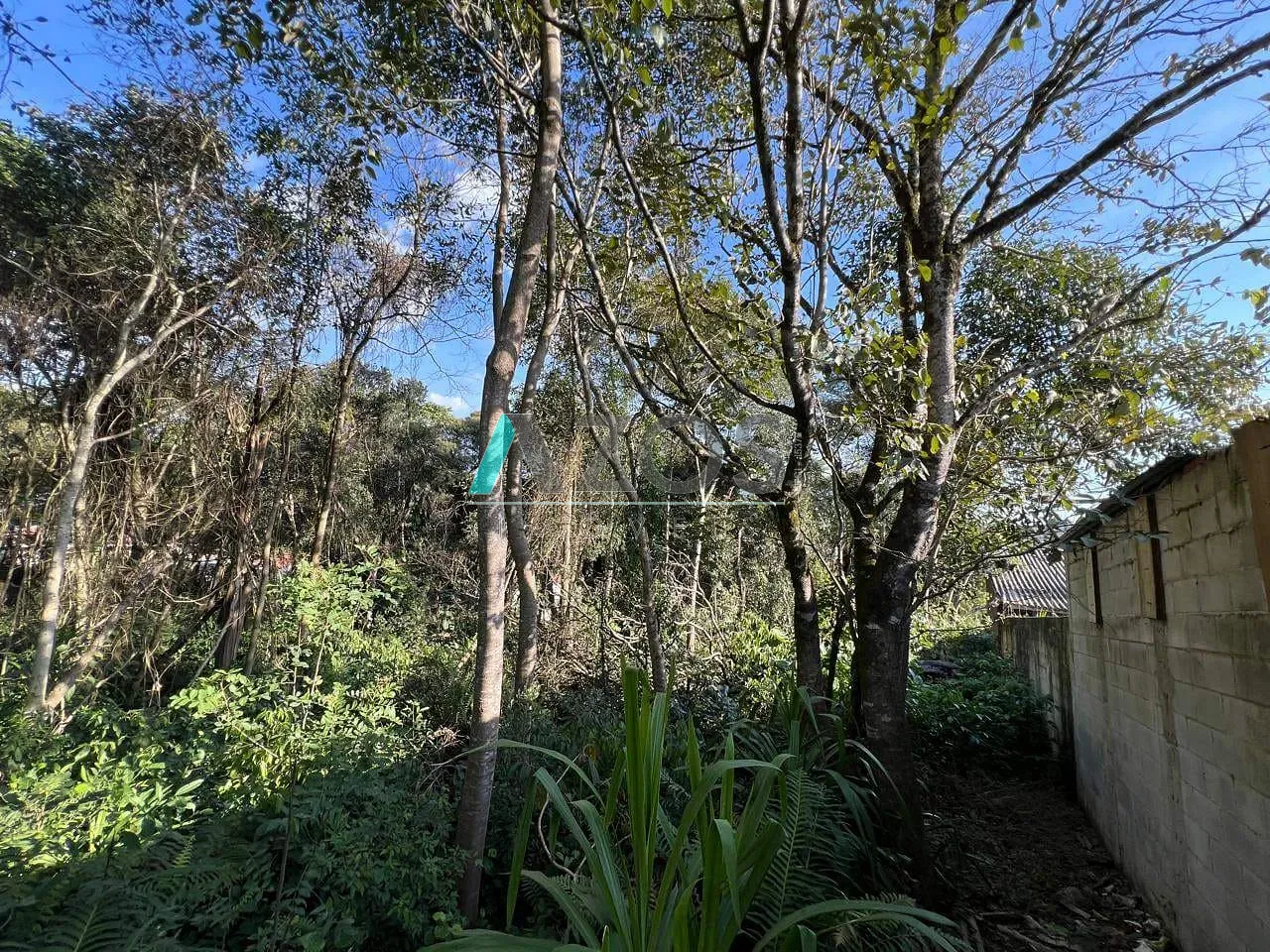 Terreno, 1000 m² - Foto 11