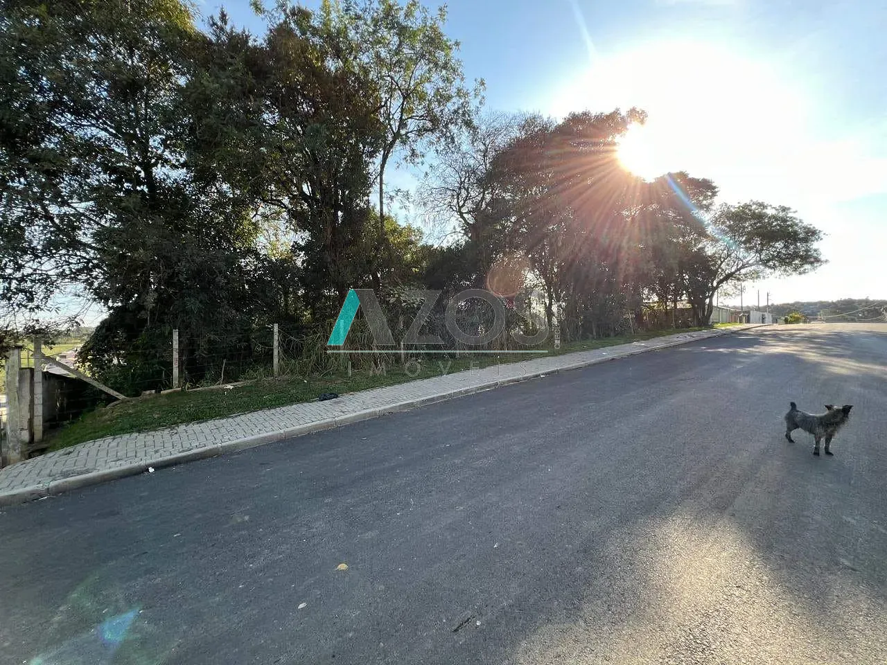 Terreno, 1000 m² - Foto 7