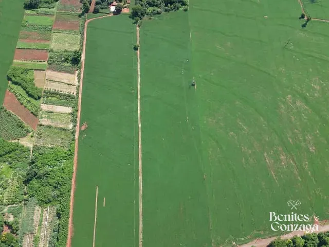 Terreno com 69212m², à venda, no bairro Parque Industrial em Maringá