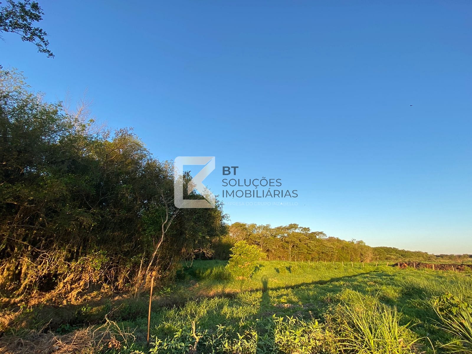 Terreno, 3 hectares - Foto 7