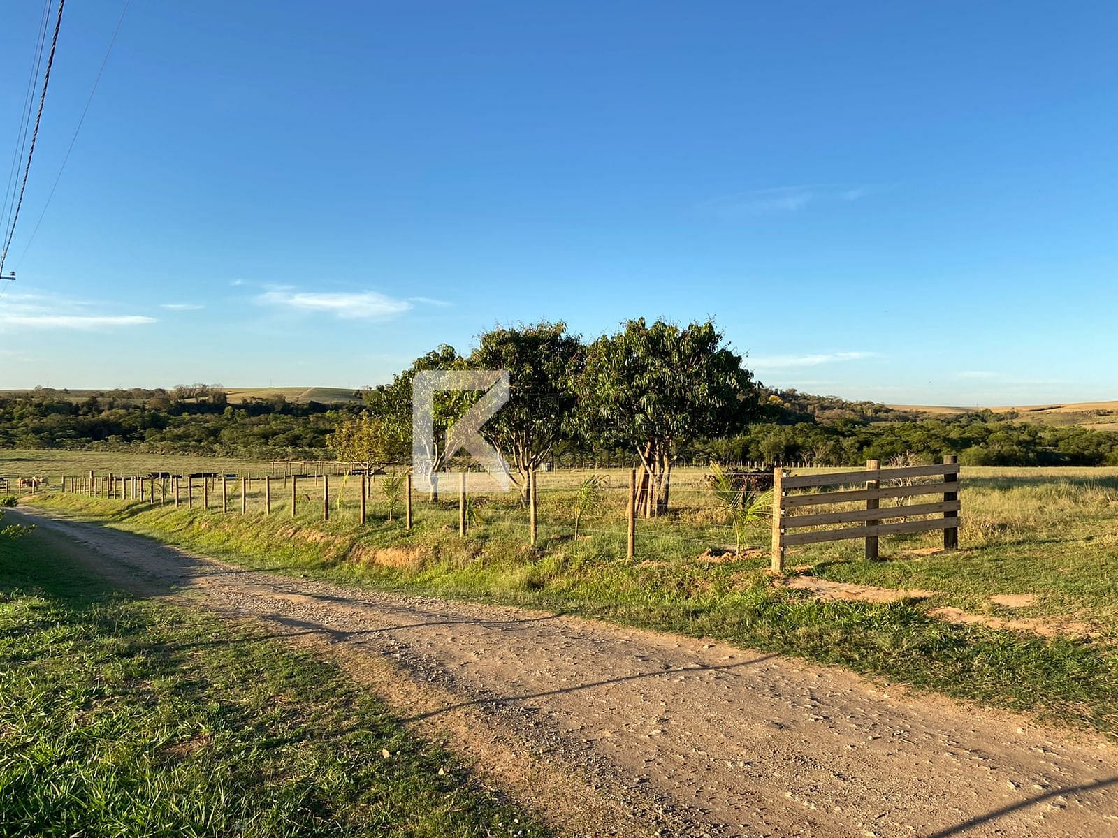 Terreno, 3 hectares - Foto 6