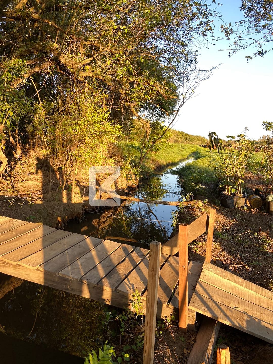 Terreno, 3 hectares - Foto 4