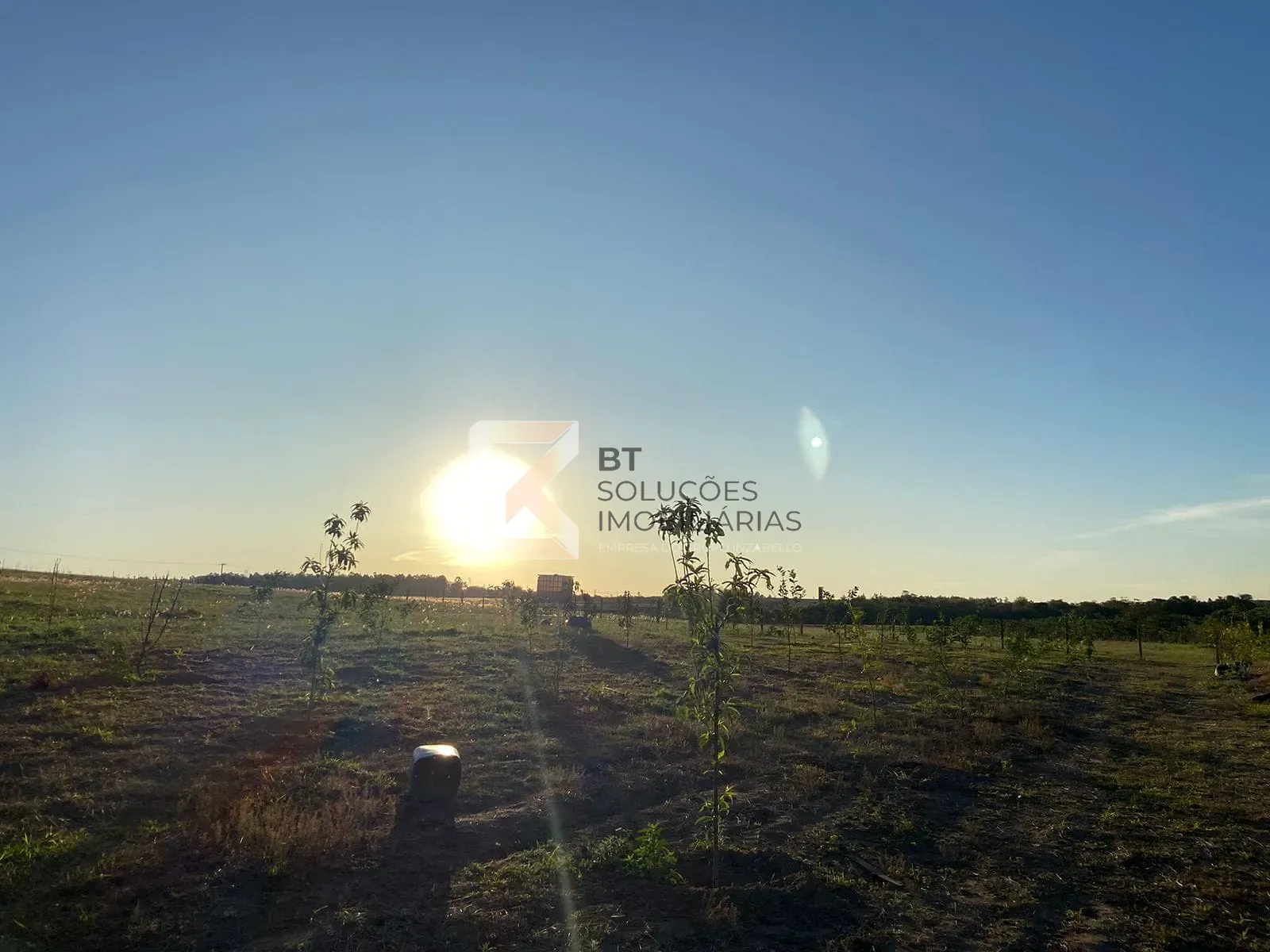Terreno, 3 hectares - Foto 3