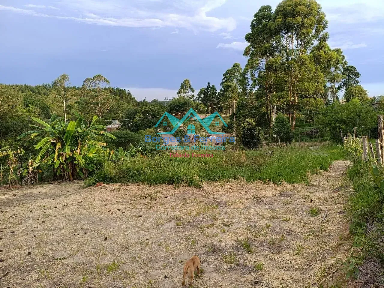 Terreno, 1000 m² - Foto 4