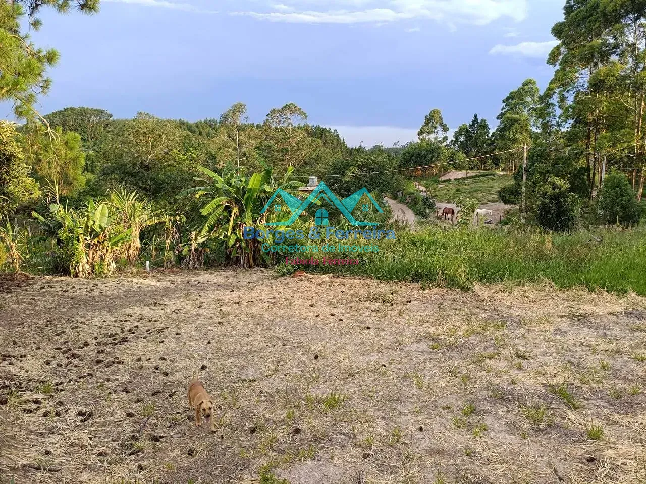 Terreno, 1000 m² - Foto 6