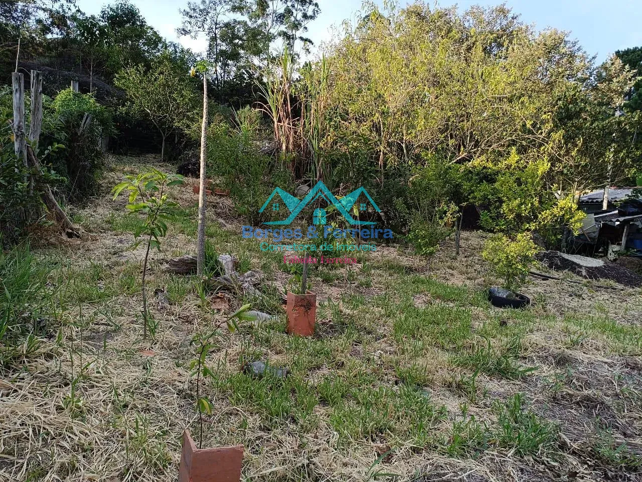 Terreno, 1000 m² - Foto 8