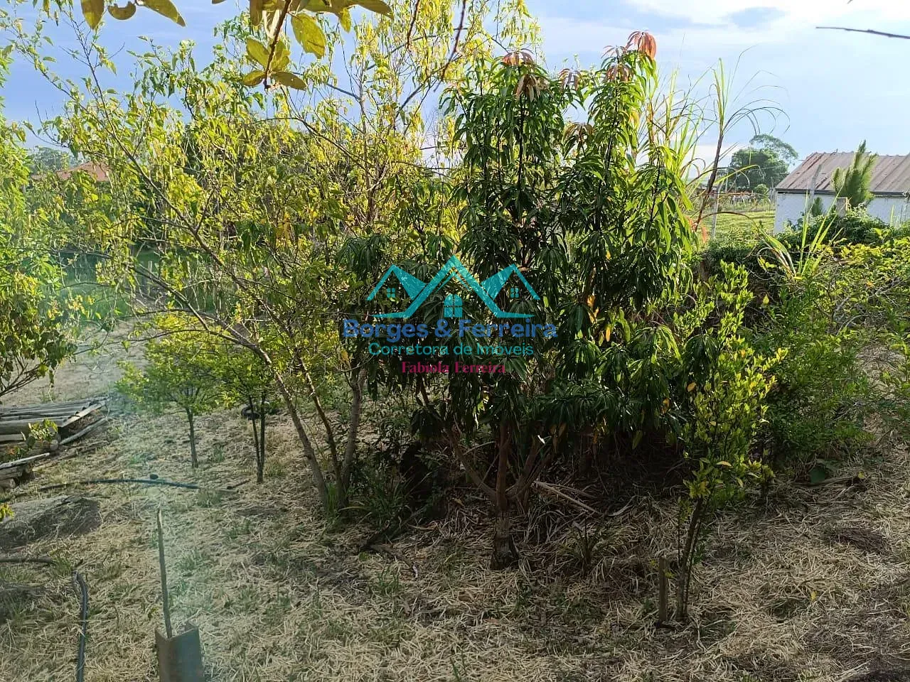 Terreno, 1000 m² - Foto 10