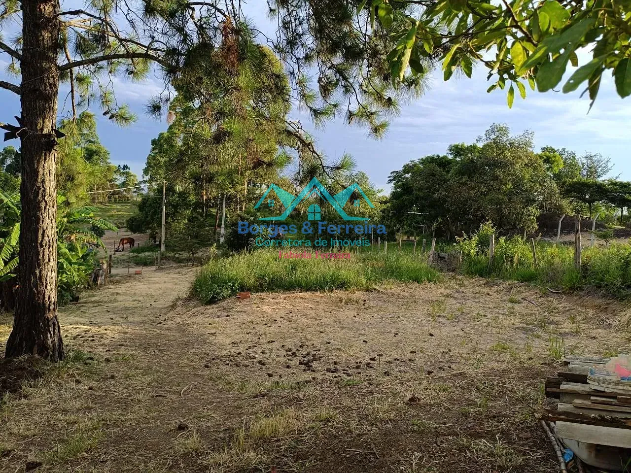 Terreno, 1000 m² - Foto 13