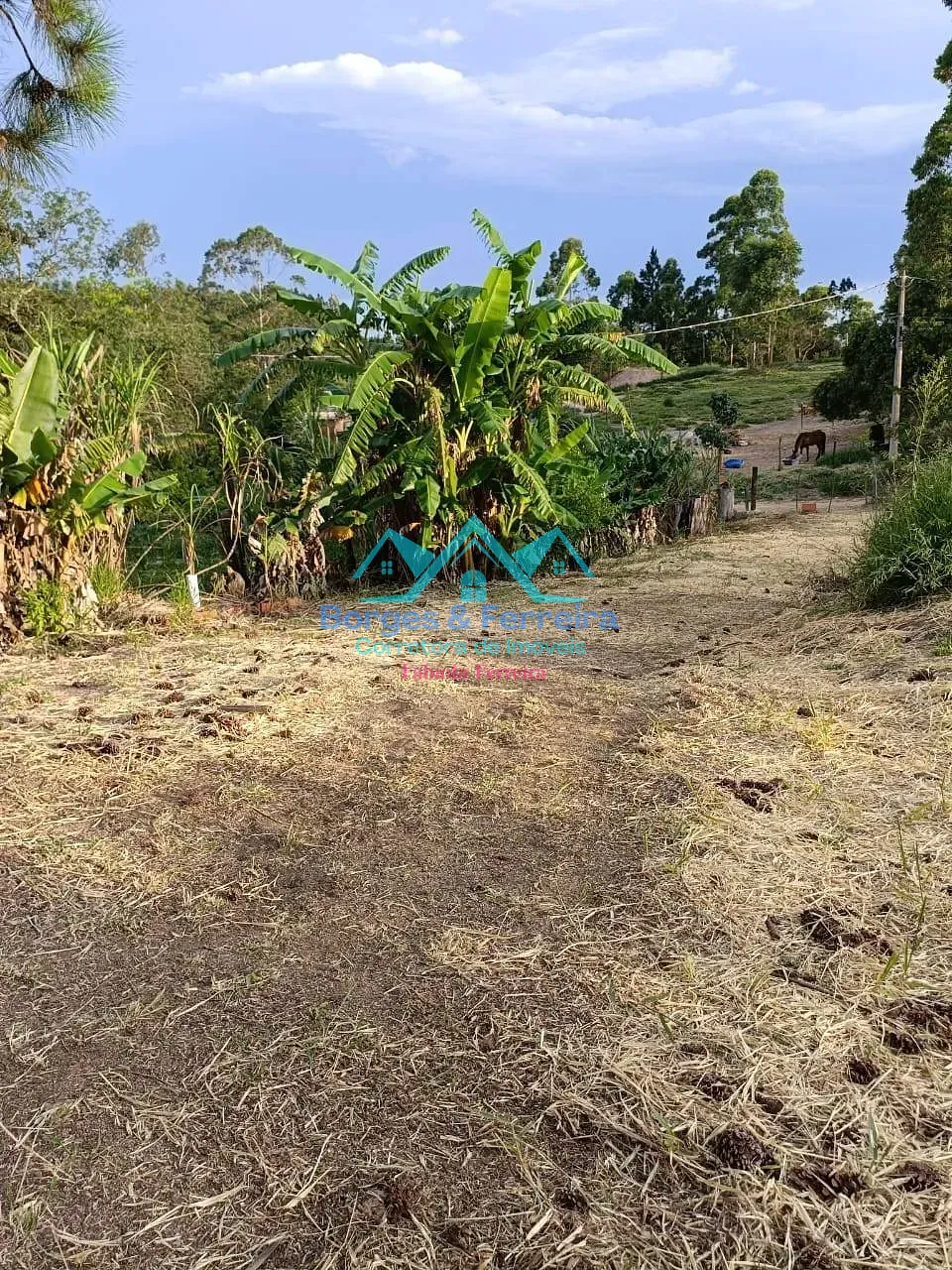 Terreno, 1000 m² - Foto 16