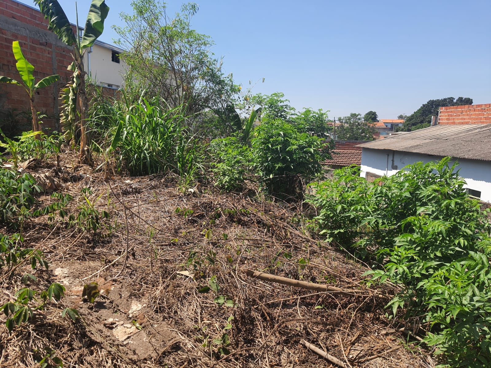 Terreno, 250 m² - Foto 8