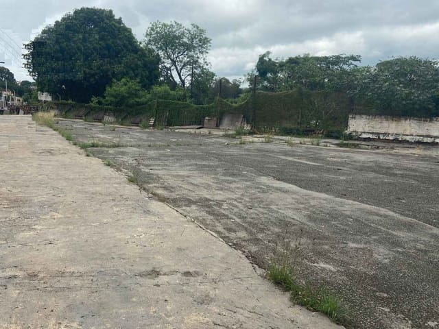 Foto do Terreno - Área para Construtoras na Região da ITE | Zwicker Imóveis
