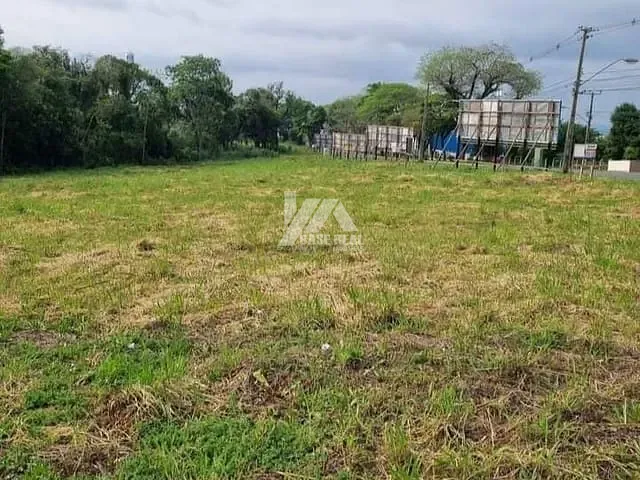 Terreno com 5491m², à venda, no bairro Colonia Dona Luiza em Ponta Grossa