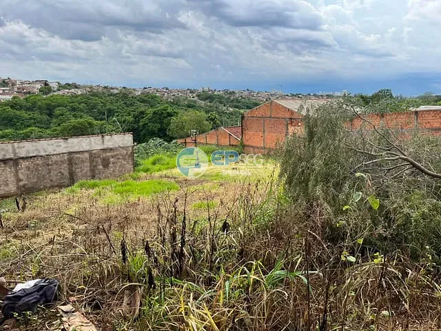 Terreno com 300m², à venda, no bairro Olímpico em Londrina