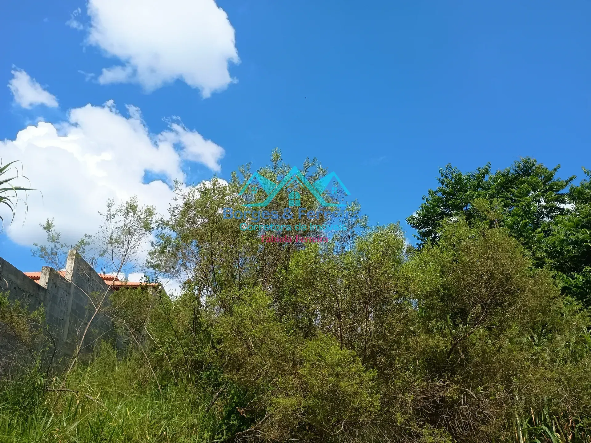 Terreno, 1000 m² - Foto 6