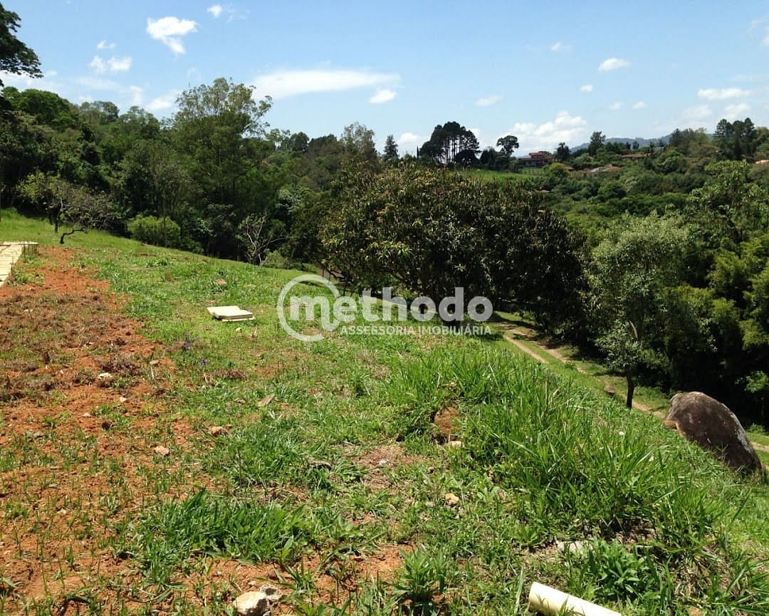 Terreno, 9 hectares - Foto 5