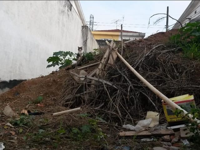 Foto do Terreno - Terreno à venda, 189 m² por R$ 240.000,00 - Jardim Vila Formosa - São Paulo/SP | Rocha Marqueze Imóveis