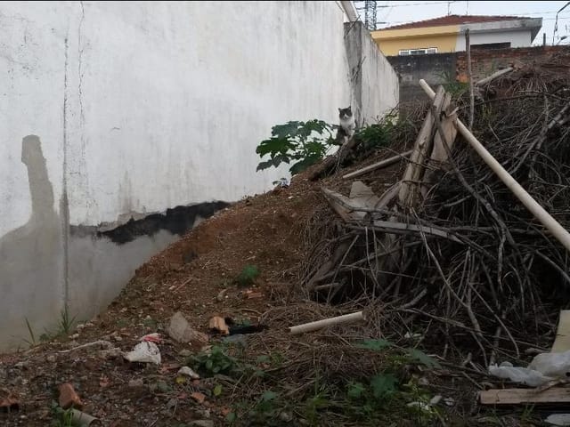 Foto do Terreno - Terreno à venda, 189 m² por R$ 240.000,00 - Jardim Vila Formosa - São Paulo/SP | Rocha Marqueze Imóveis