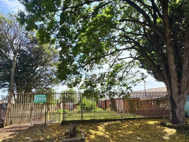 Terreno com 309m², à venda, no bairro Jardim Ponta Grossa em Apucarana