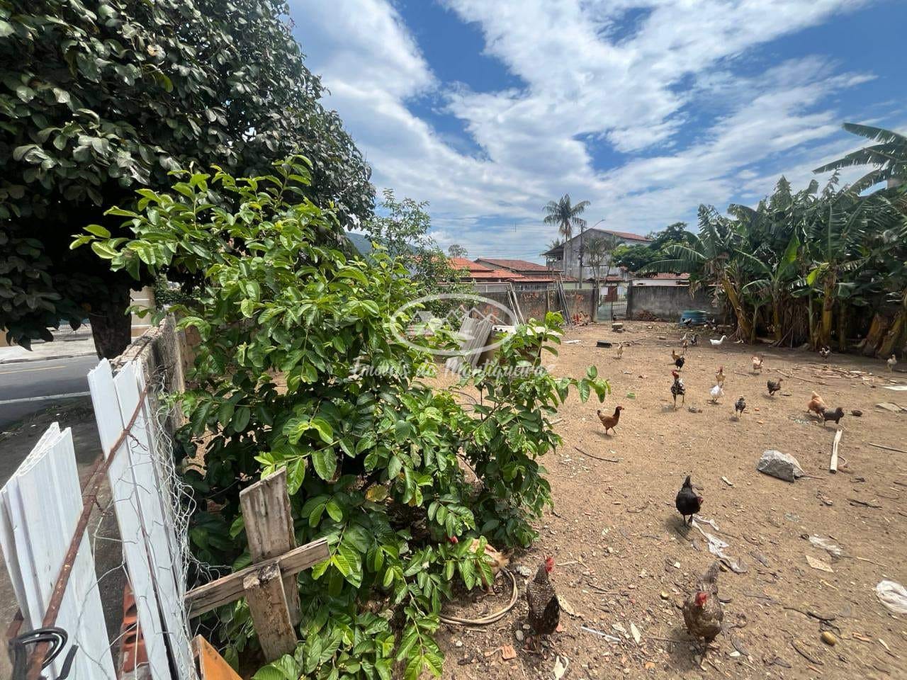 Terreno, 250 m² - Foto 13