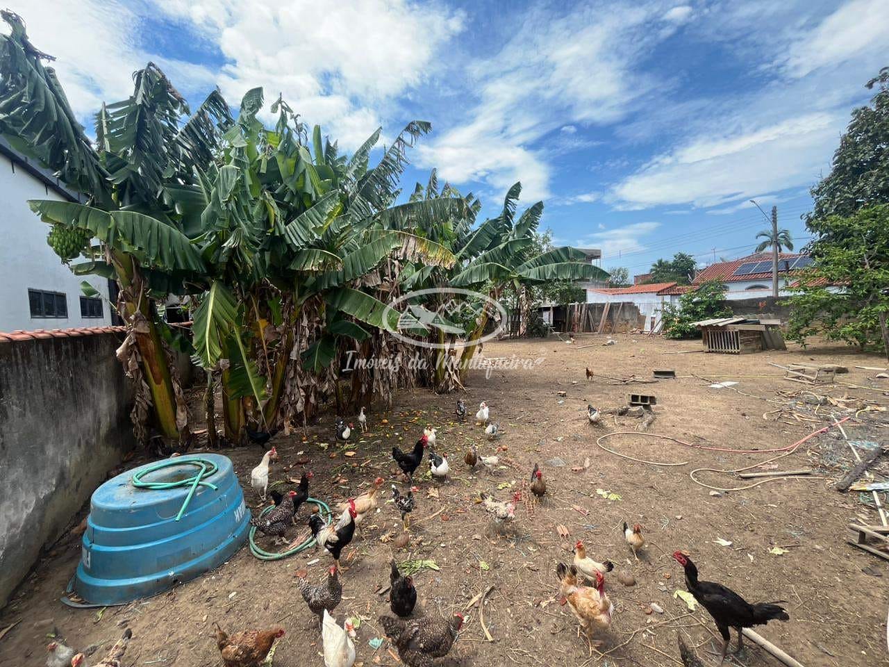 Terreno, 250 m² - Foto 8