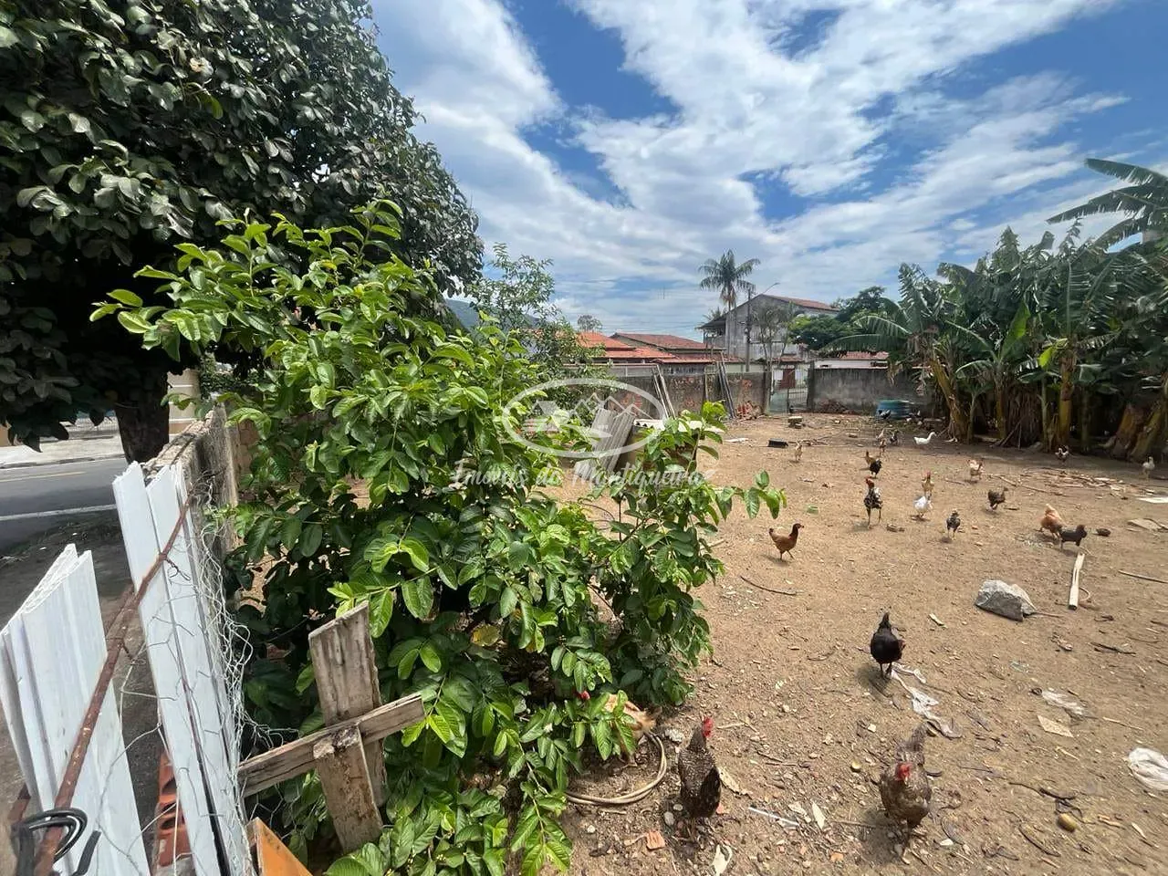 Terreno, 250 m² - Foto 13