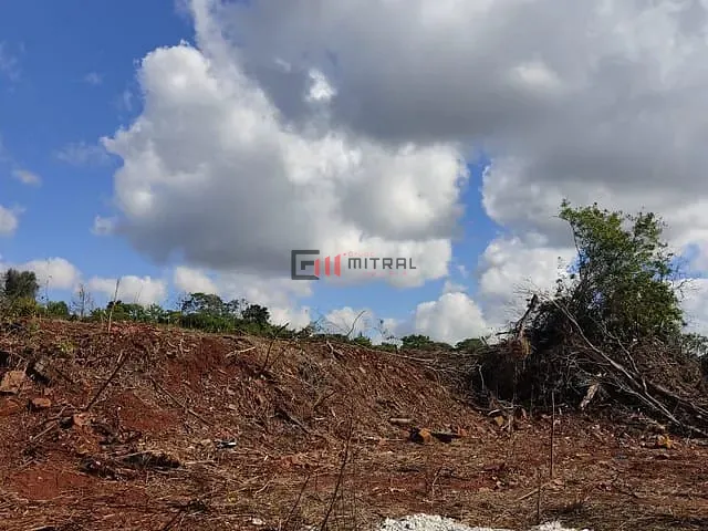 Terreno com 6556m², à venda, no bairro Dom Pedro I em Londrina