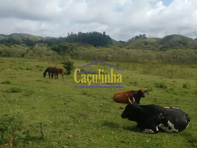 Terreno com 20000m², à venda, no bairro Vila Helena em Barra do Piraí