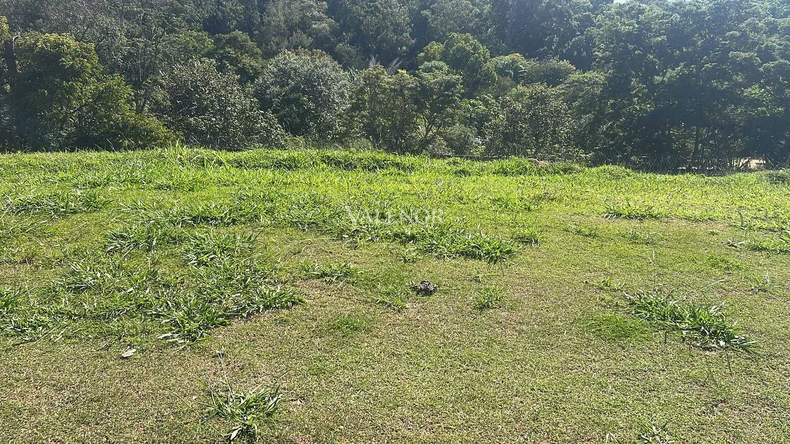 Terreno, 489 m² - Foto 1