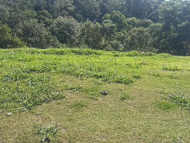 Terreno com 489m², à venda, no bairro Loteamento Residencial e Comercial Horto Florestal em Jundiaí