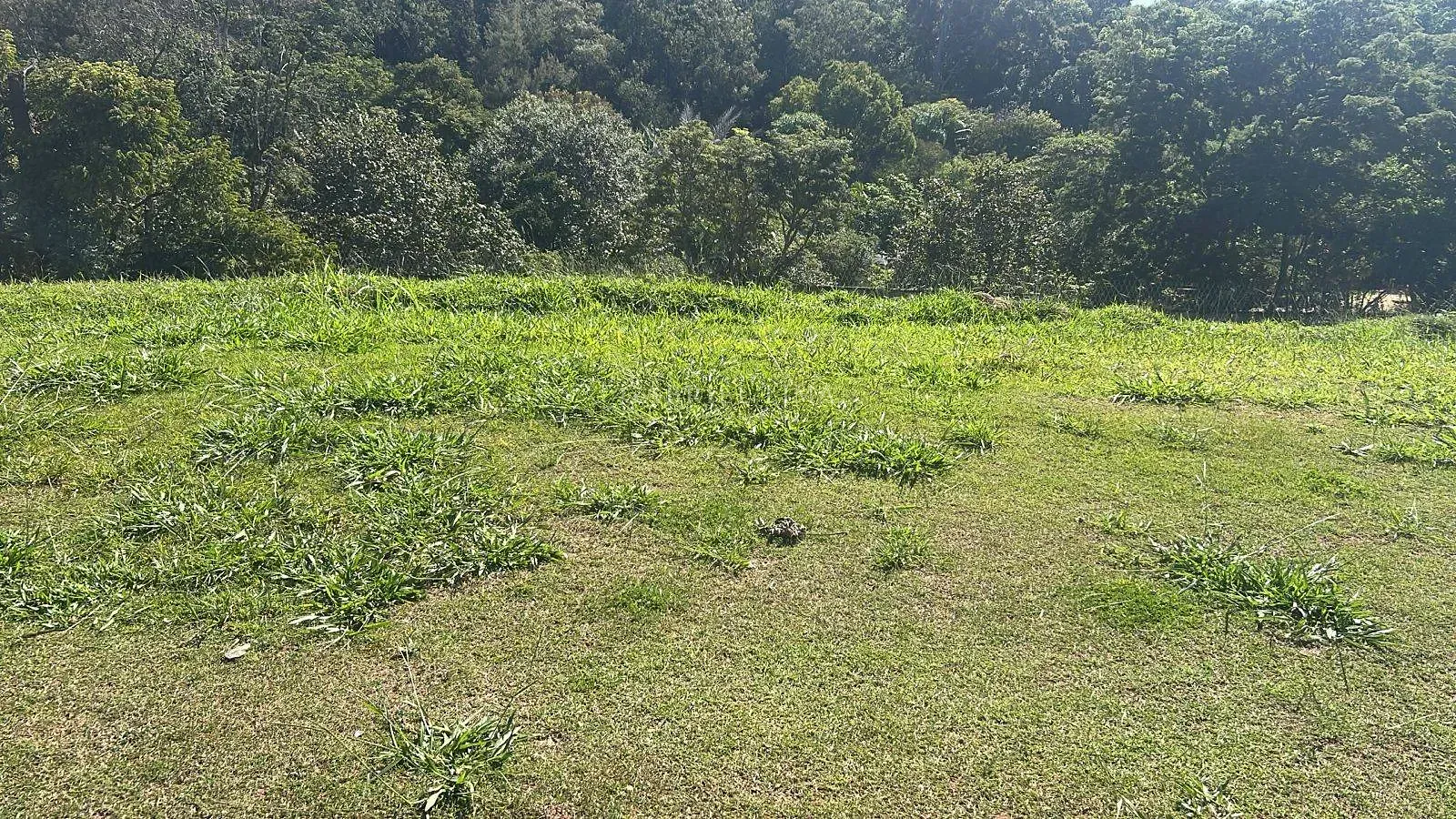 Terreno, 489 m² - Foto 1