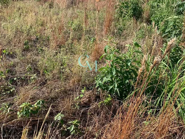 Terreno com 360m², à venda, no bairro Primo Tacca em Xanxerê