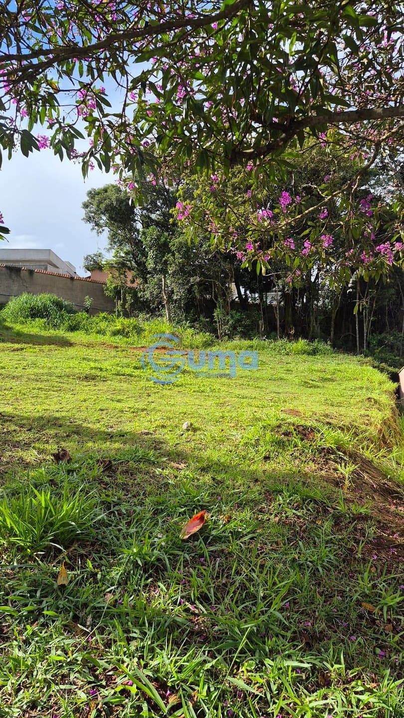 Terreno, 409 m² - Foto 9